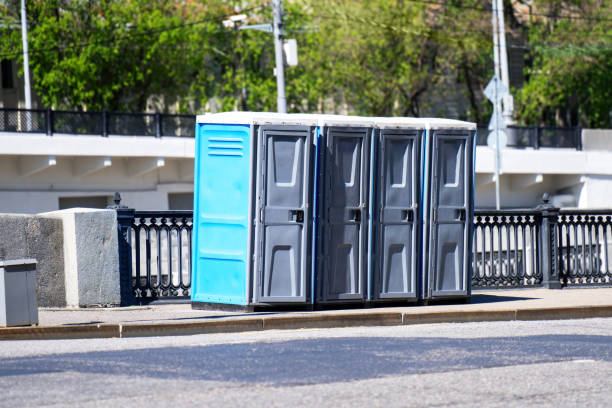 Best Affordable porta potty rental  in Frankenmuth, MI